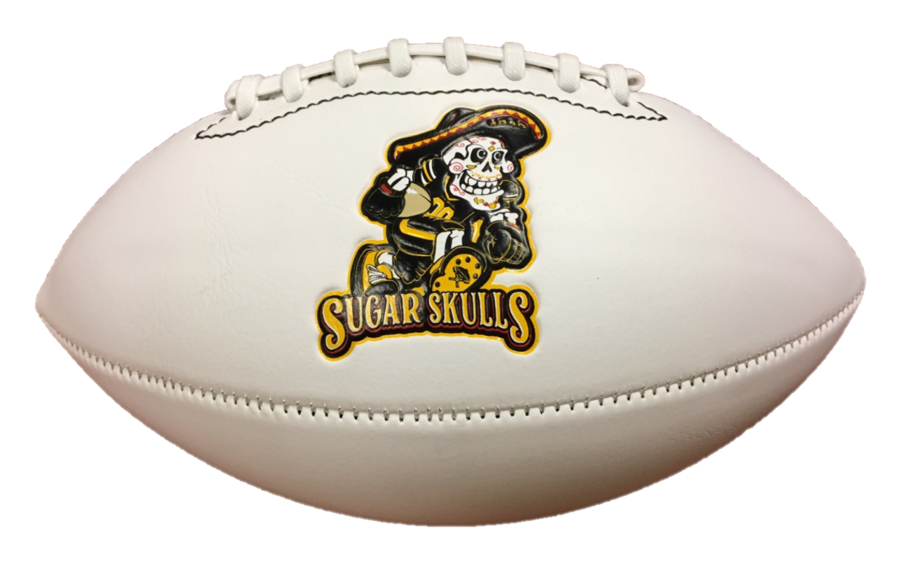 NFL mini ball of the Pittsburgh Steelers